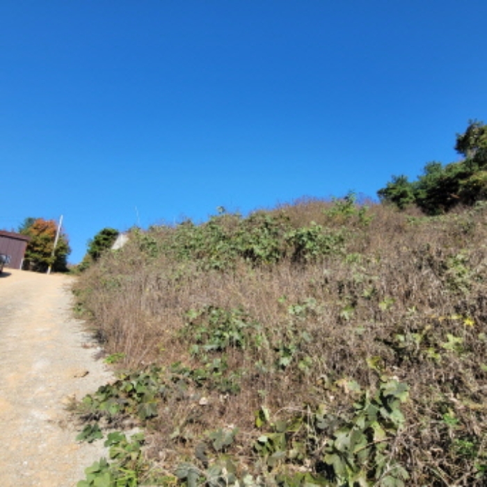 목록9 토지 전경