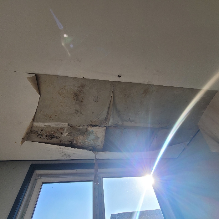 본건(4) 1층 내부