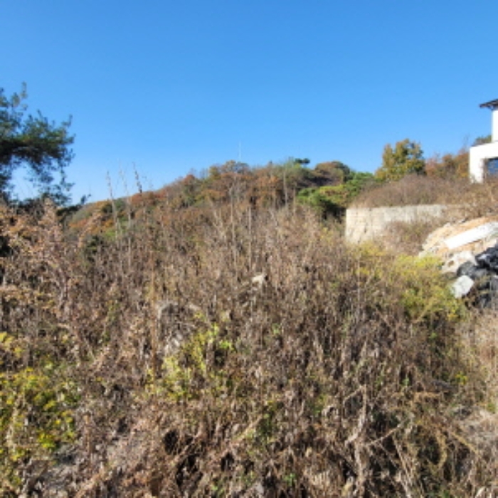 목록5 토지 전경