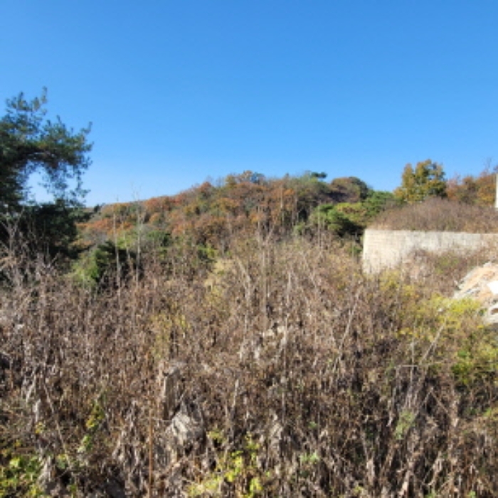 목록5 토지 전경