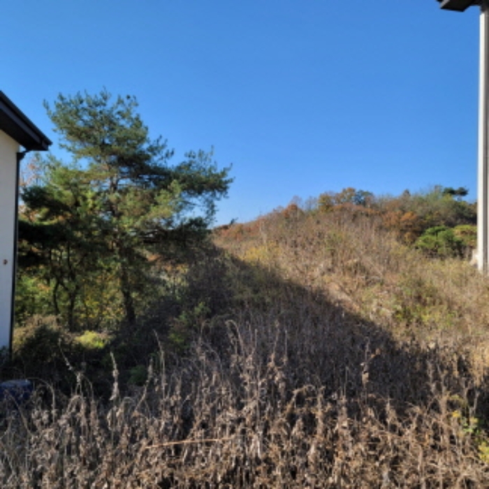 목록5 토지 전경