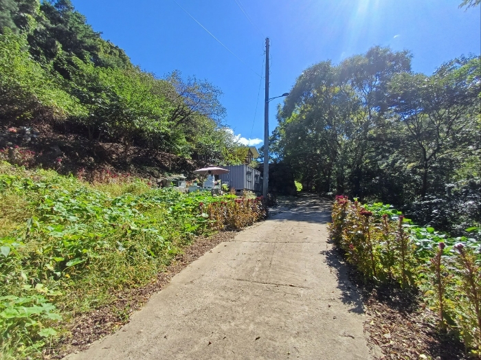 본건 기호(3) 전경