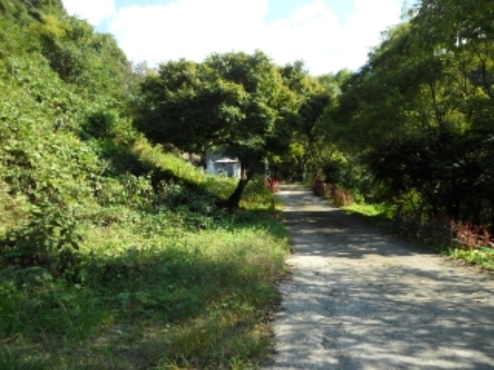 전경