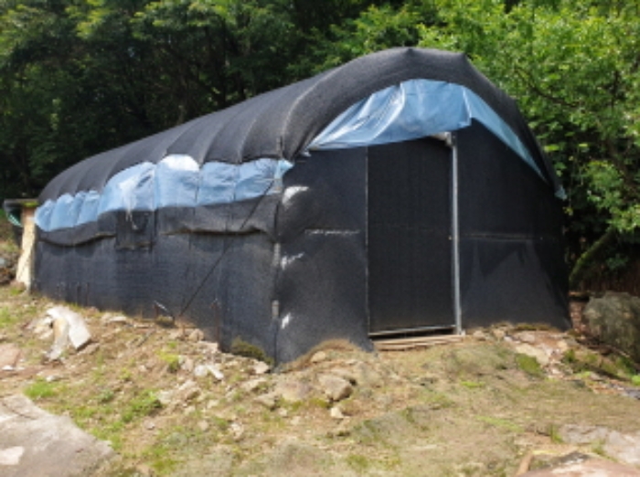 제시외 비닐하우스(2)