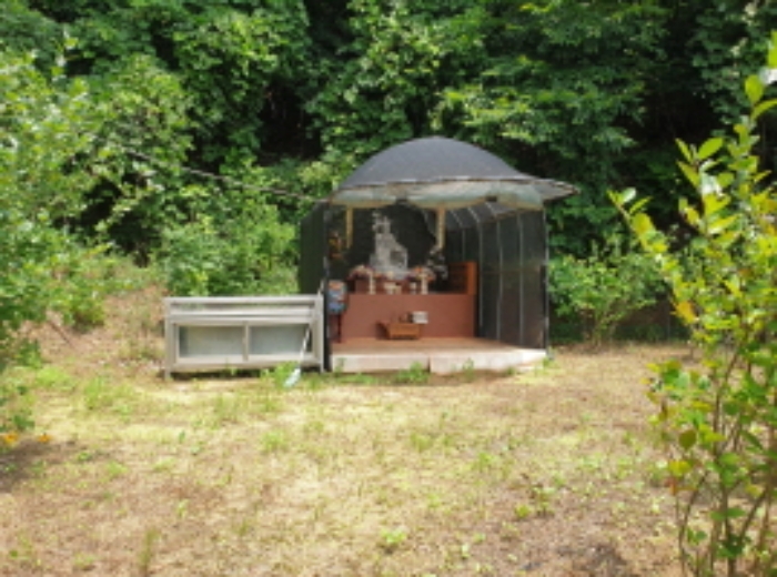 목록3. 토지 일부 전경 및 제시외 비닐하우스(1)