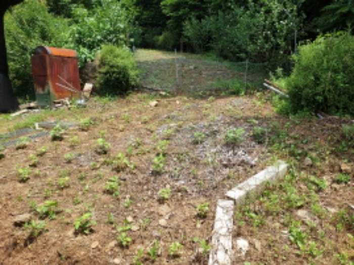 목록3. 토지 일부 전경