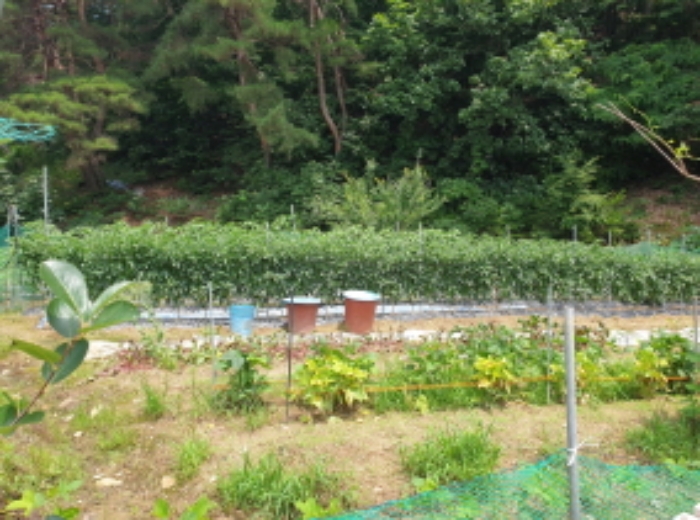 목록4. 토지 전경