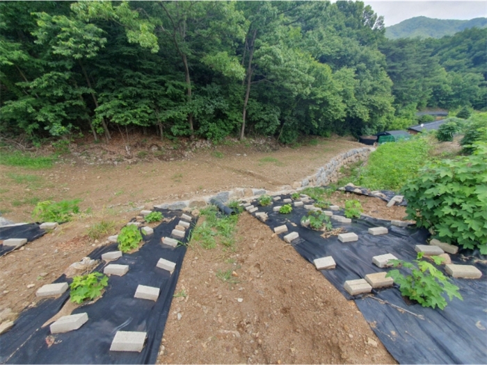 본건 남측인근 진입로