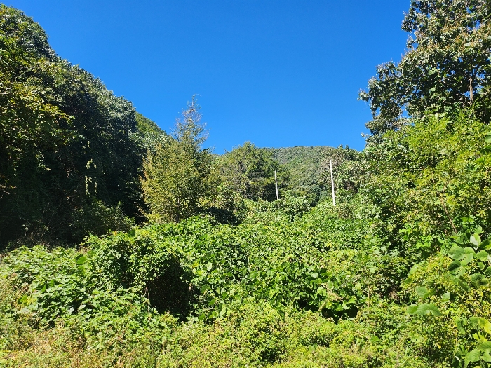 본건 전경
(근거리)