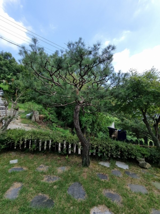 제시외건물 ㉣-1)