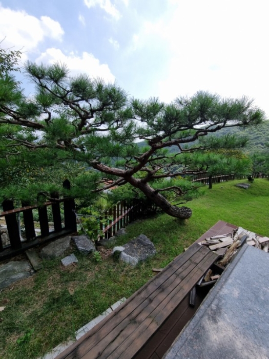 제시외건물 ㉣-3)