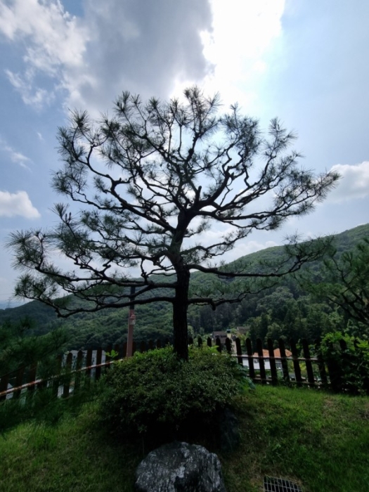 제시외건물 ㉣-6)