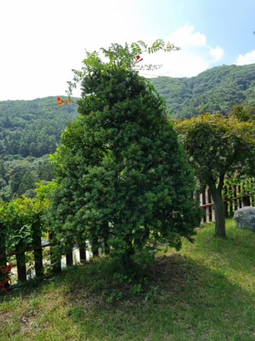 제시외건물 ㉣-8)