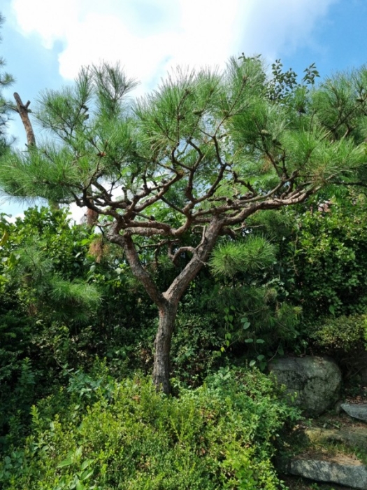 제시외건물 ㉣-9)