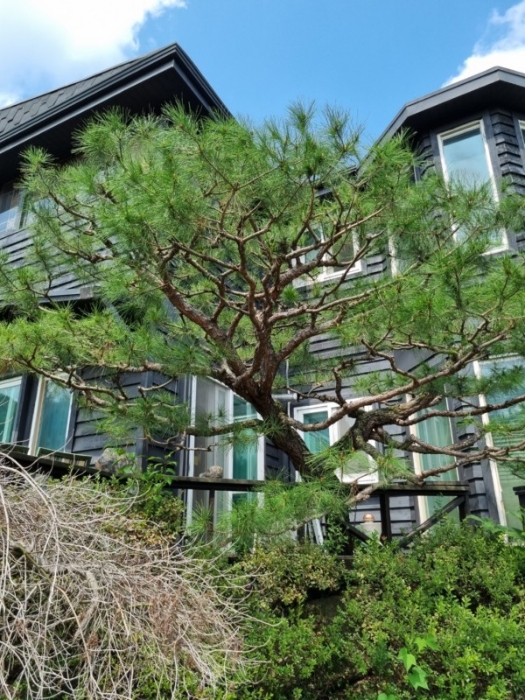 제시외건물 ㉣-10)