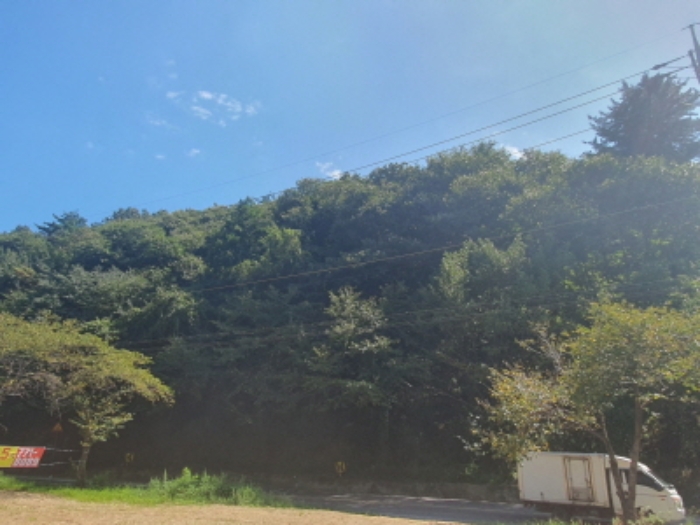 현장사진(토지 전경)