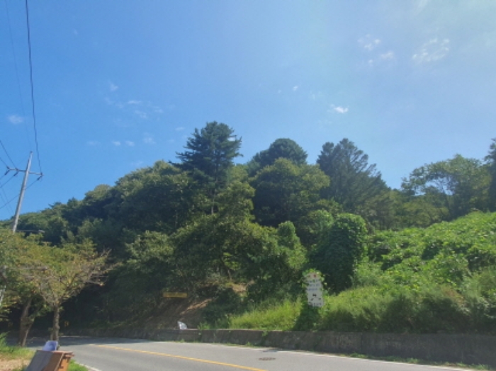 현장사진(토지 전경)