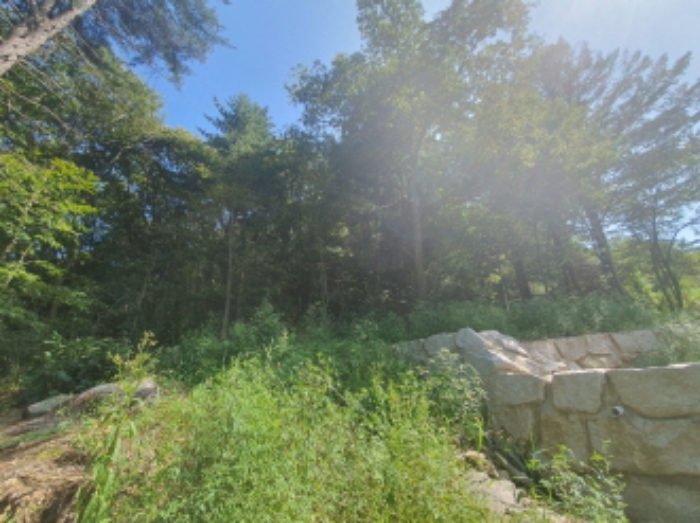 현장사진(토지 전경)