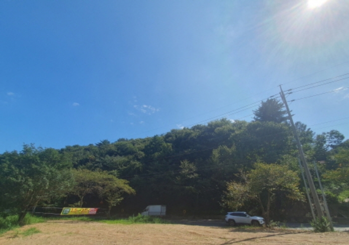 현장사진(토지 전경)