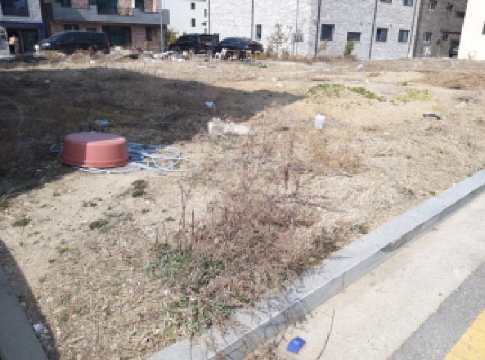 * 본건 목적물 전경