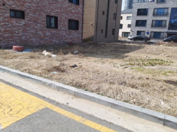 * 본건 목적물 전경