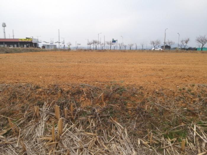 * 본건 목적물 전경