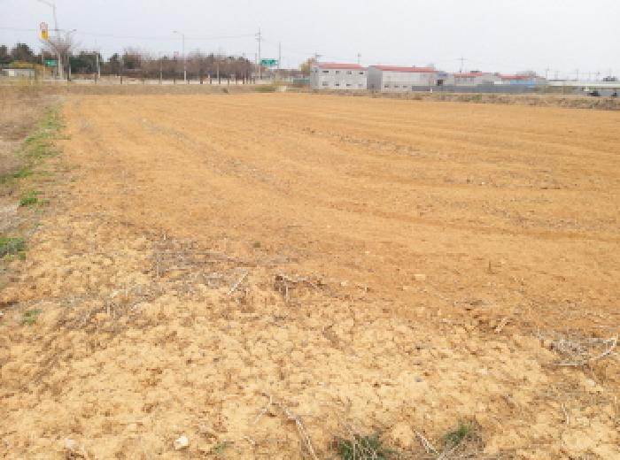 * 본건 목적물 전경