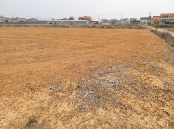 * 본건 목적물 전경