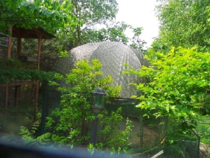 사진19번 [목록번호1번 부동산에 소재하는 제시외 물건 전경]