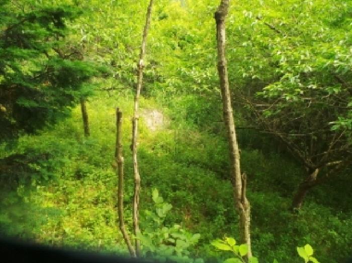 사진33번 [목록번호4번 부동산 일부 전경]