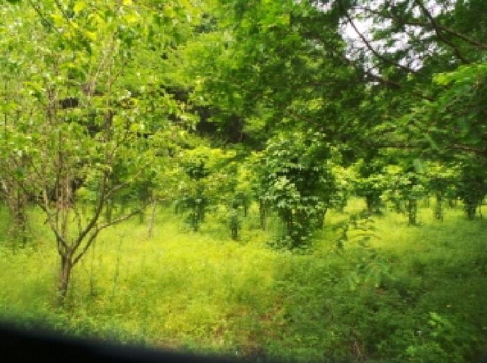 사진4번 [목록번호1번 부동산 일부 전경]