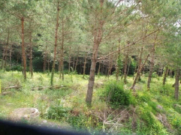 사진36번 [목록번호5번 부동산 전경]