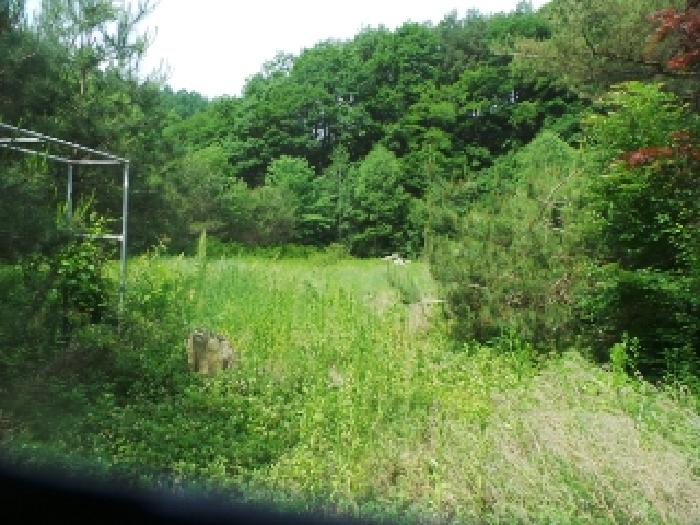 사진37번 [목록번호6번 부동산 전체전경]