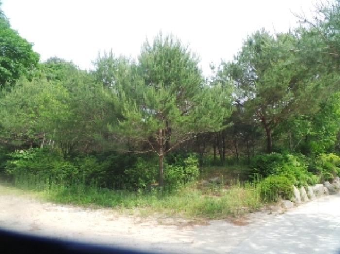 사진39번 [목록번호7.11번 전경] 전경]