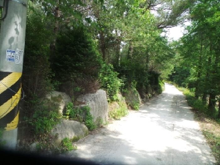 사진41번 [목록번호7번 부동산 일부 전경 및 석축 전경]