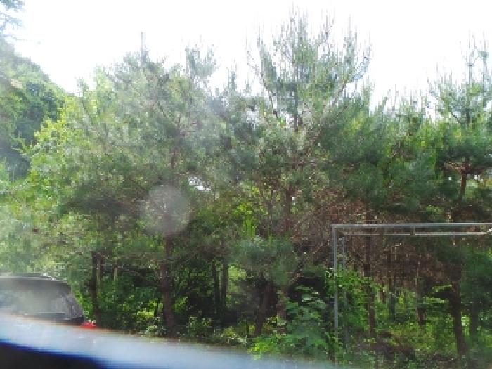 사진40번 [목록번호7번 부동산 일부 전경]