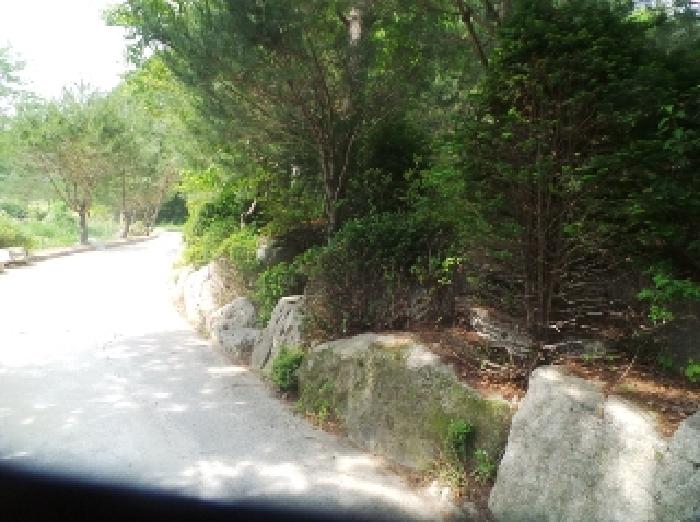 사진42번 [목록번호7번 부동산 일부 전경 및 석축 전경]