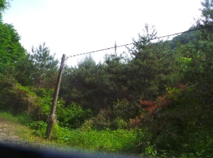 사진44번 [목록번호8번 부동산 전경]