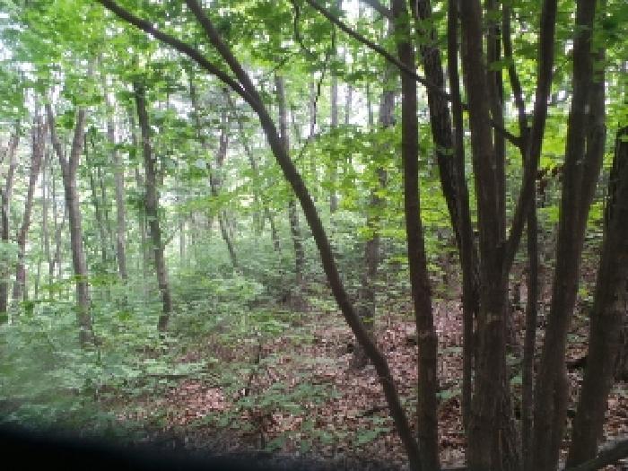 사진28번 [목록번호4번 부동산 일부 전경]