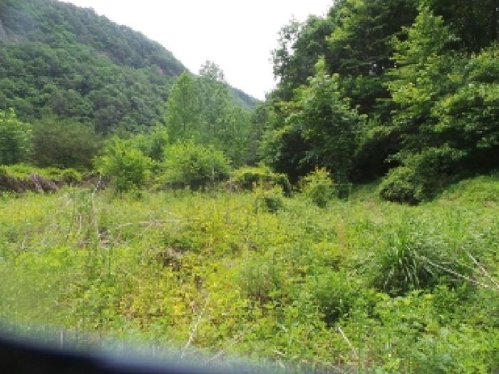 사진1번[목록번호1번 부동산 전체전경]