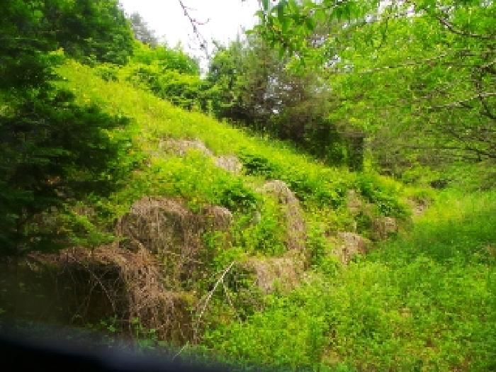 사진2번 [목록번호1번 부동산 일부 전경]