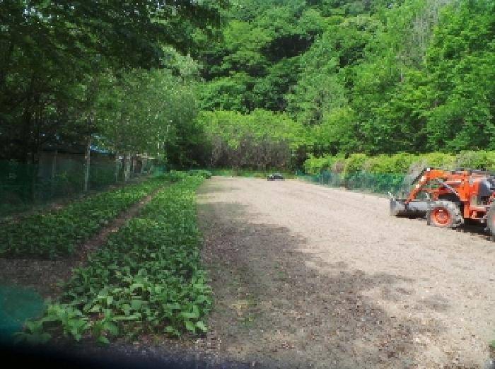 사진7번 [목록번호1번 부동산 일부 전경]