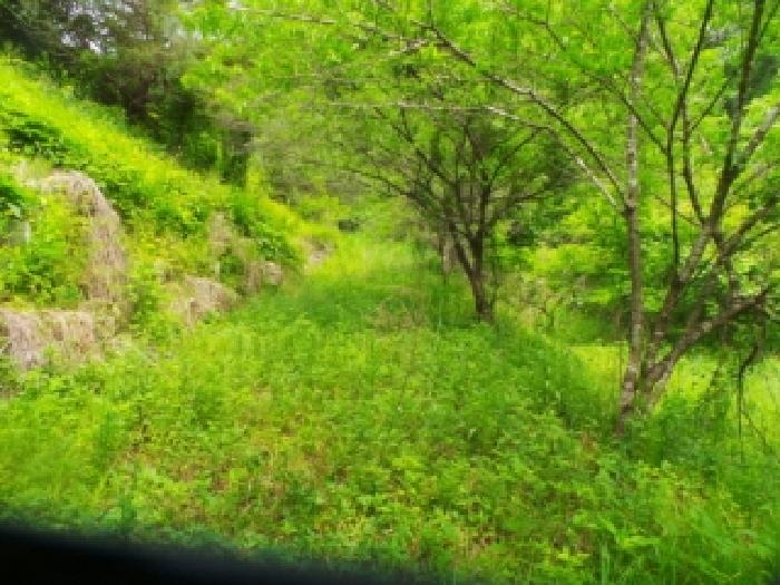 사진3번 [목록번호1번 부동산 일부 전경]