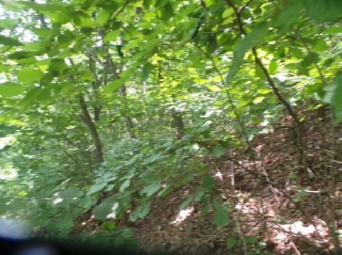 사진26번 [목록번호4번 부동산 일부 전경]