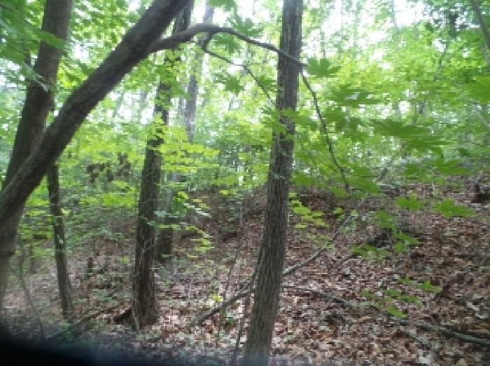 사진29번 [목록번호4번 부동산 일부 전경]