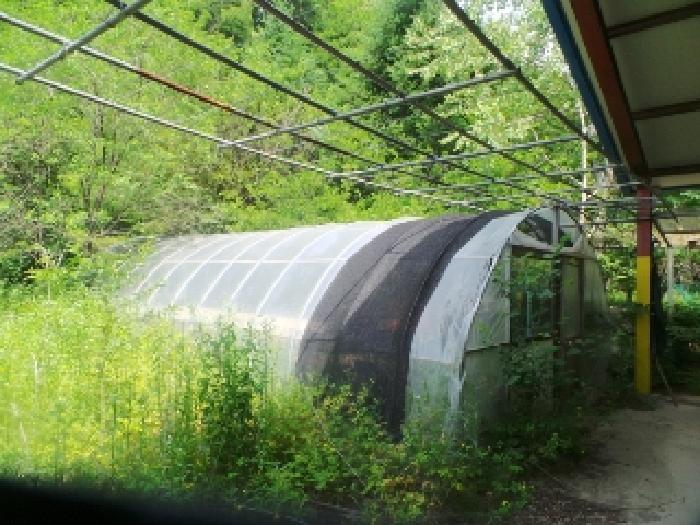 사진12번 [목록번호1번 부동산에 소재하는 철파이프조 하우스  전경]