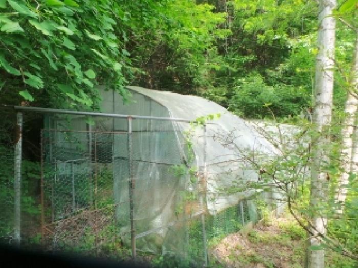 사진13번 [목록번호1번 부동산에 소재하는 철파이프조 하우스  전경]