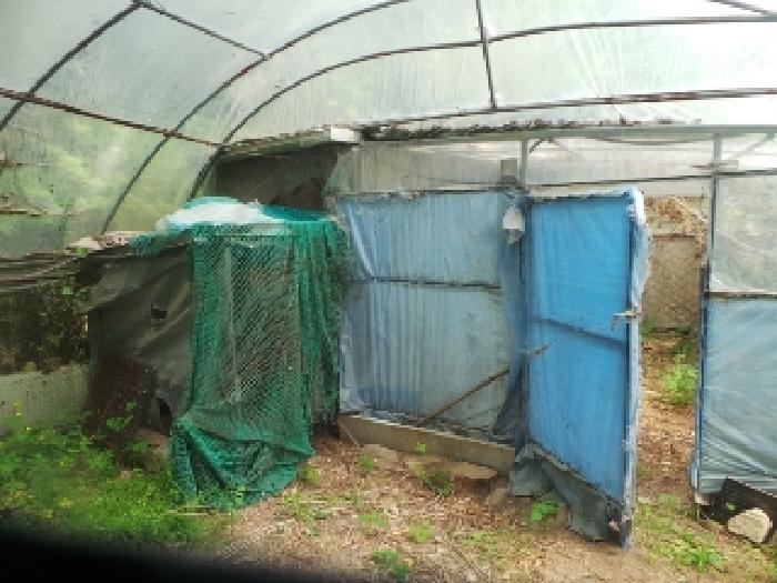 사진14번 [목록번호1번 부동산에 소재하는 철파이프조 하우스  내부 전경]