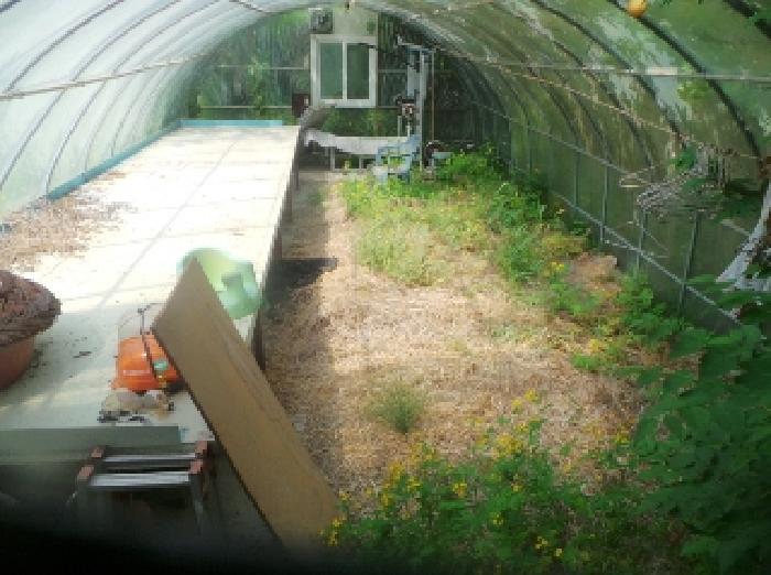 사진16번 [목록번호1번 부동산에 소재하는 철파이프조 하우스  내부 전경]