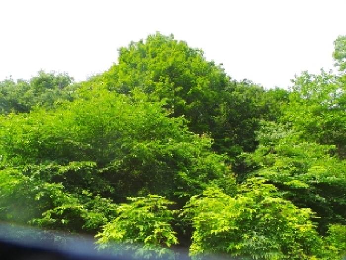 사진25번 [목록번호4번 부동산 전체전경]